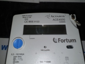 150x Fortum ACE4000 Actaris 0,5- 10 (100)A 